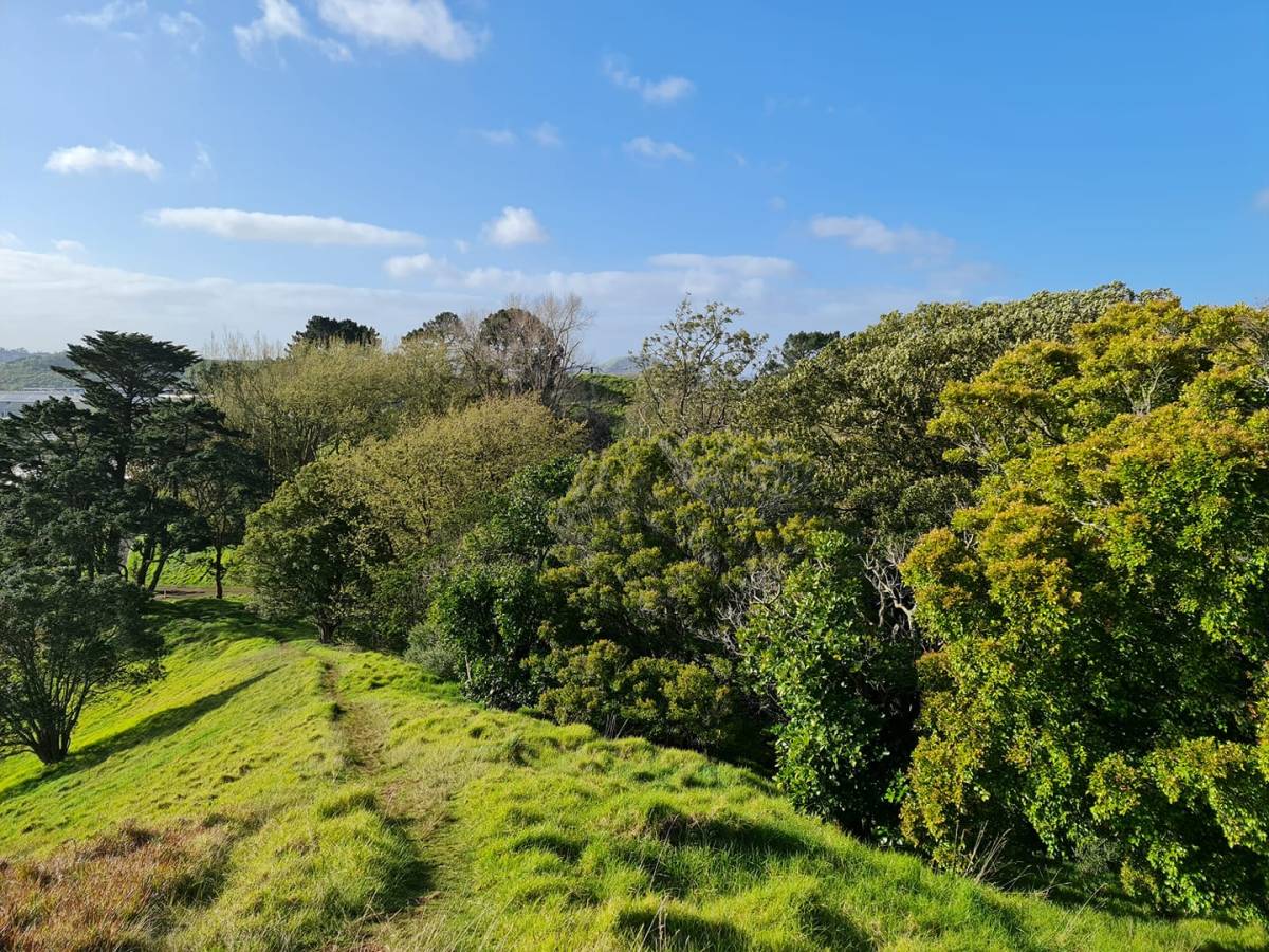 Submission on Tūpuna Maunga Authority’s 2023/2024 draft operational plan and&nbsp;budget