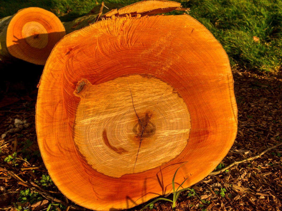 Shirley Waru initiates judicial review against Tūpuna Maunga Authority and Auckland&nbsp;Council