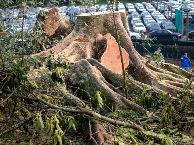 Judicial review against Tūpuna Maunga Authority and Auckland Council to be heard in Auckland High Court, 10 am Tuesday 5 December&nbsp;2023